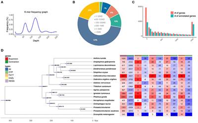 Draft Genome of the Edible Oriental Insect Protaetia brevitarsis seulensis